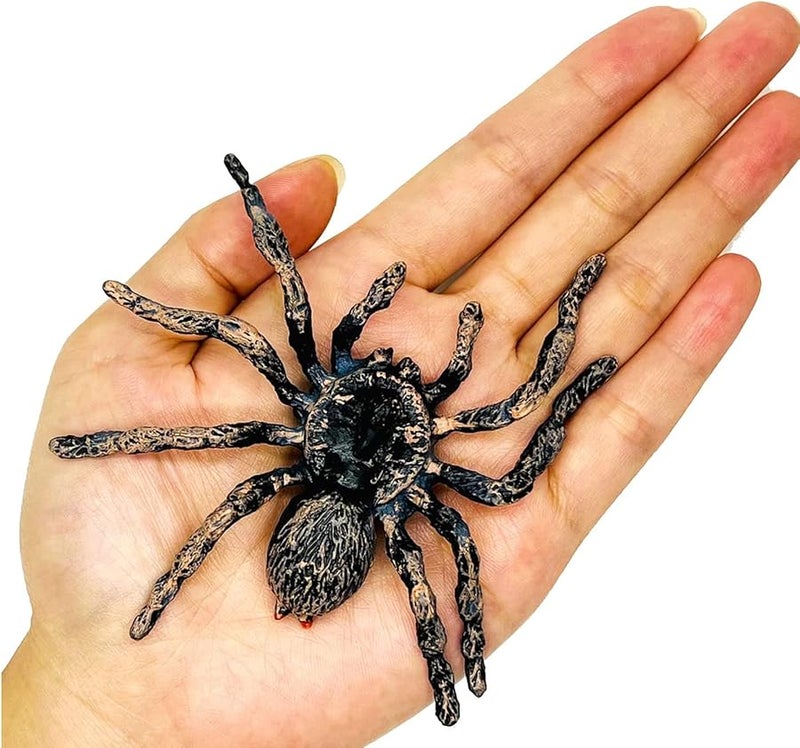 Realistic Plastic Halloween Spider Decoration For Home Office Party 1 Piece - Image 1